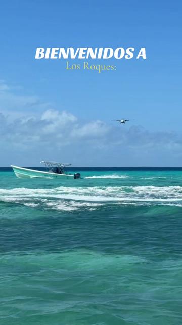 @Tuna Los Roques 🌵