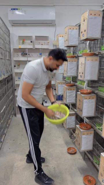 @AdilBirdsFarm