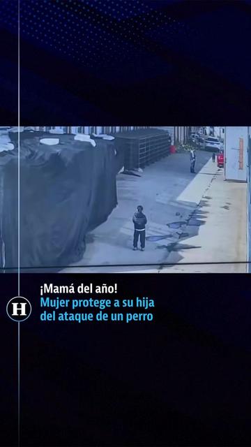 @elheraldodemexico
