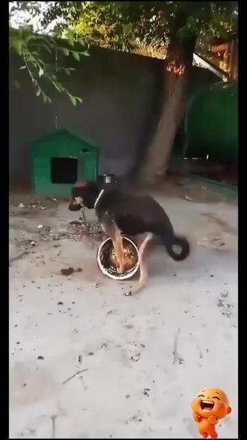 @Funny🤣🤣🤣 Kinng