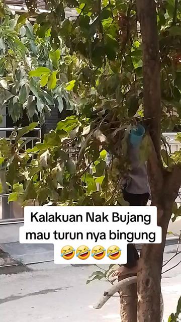 @Teteh Ai Ayank