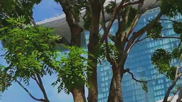 @立明|新加坡房产咨询