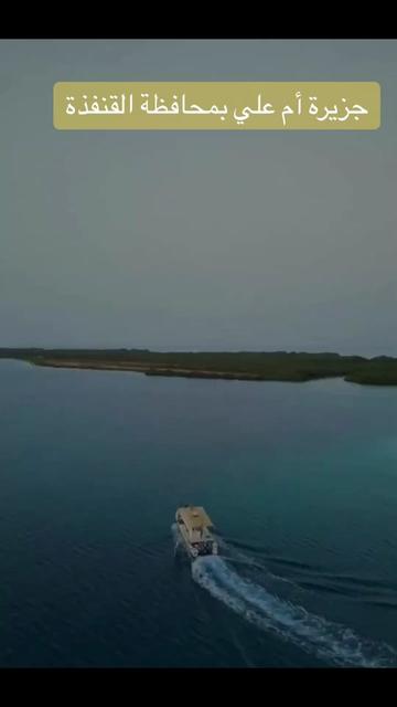@القنفذة نت
