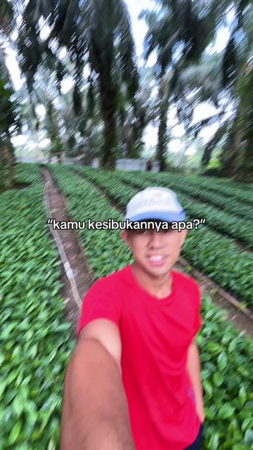 @ikhsansann