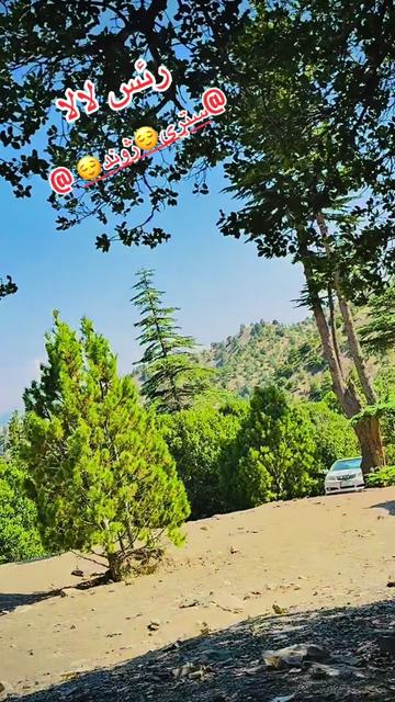 @رایس لالا🥀