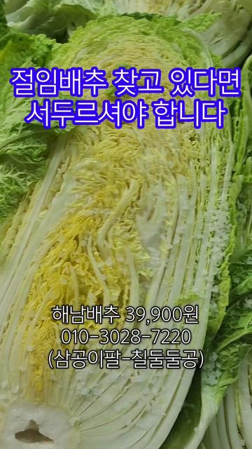 @인생먹거리