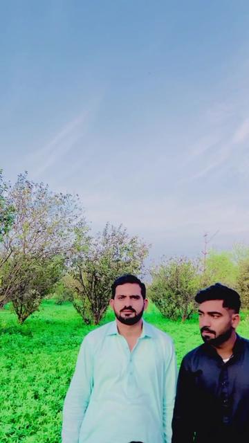 @ladlamalik488