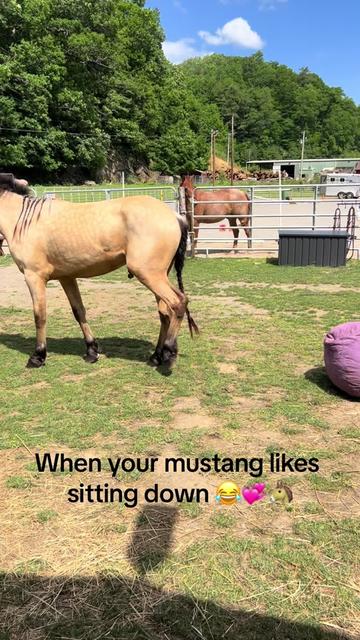 @Janet..Fuzzy.farm.gang