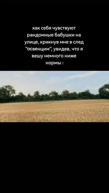 @германофил🐛
