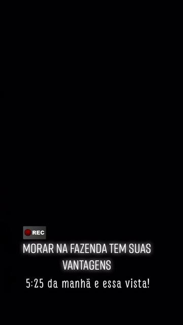 @Haras Z&eacute; Galego