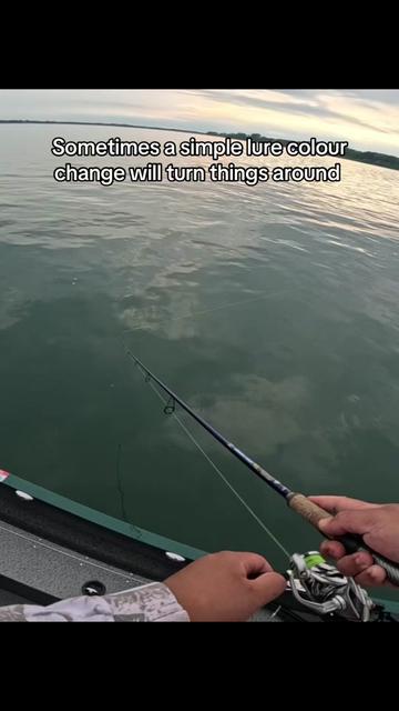 @BRVDDY BASSIN