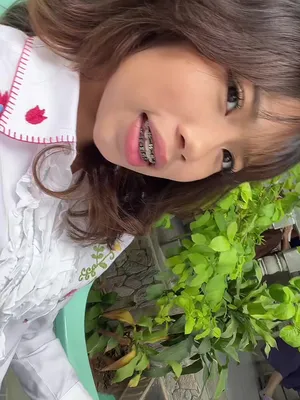 @gogogaga