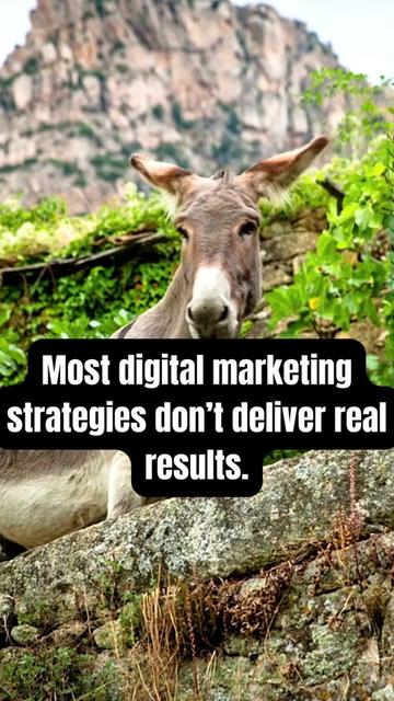 @Digital Marketing Pros ✨