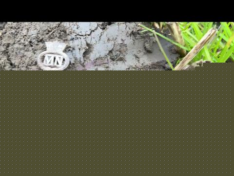 @Glasgow Detectorist