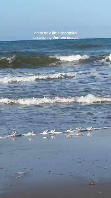 @Visit Ventura