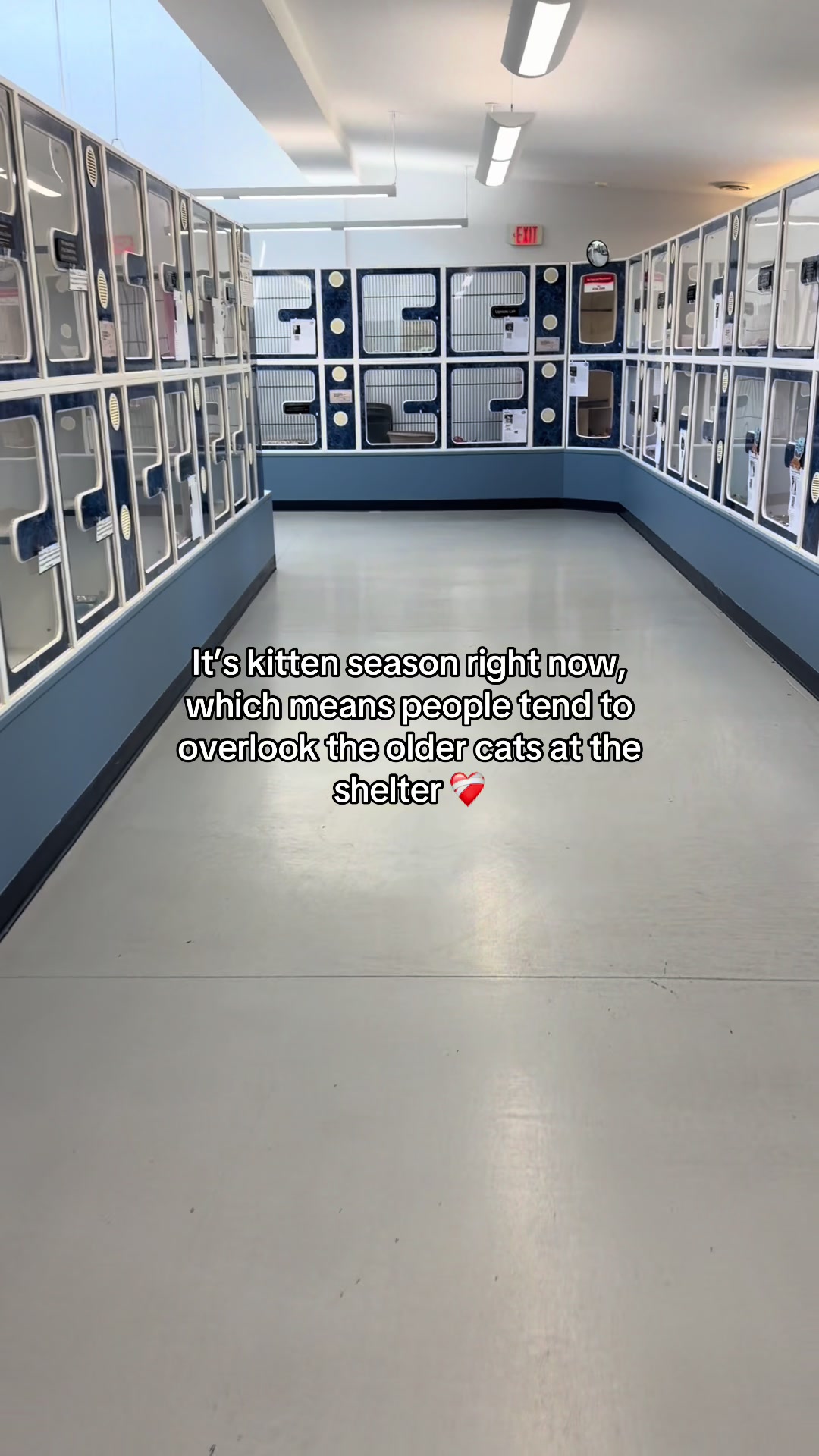 @myTinypurpose