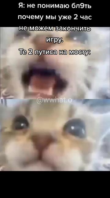 @Без пива не играю 🍺
