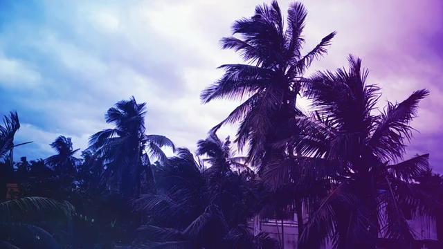 @Ankita Roy