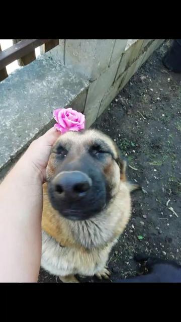 @Takács János