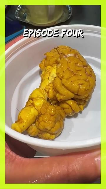 @user7246143167072