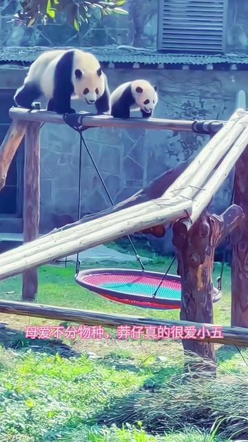 @ショウキンキ