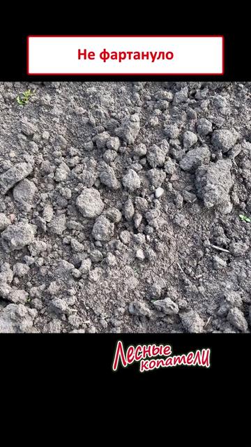 @Лесные Копатели