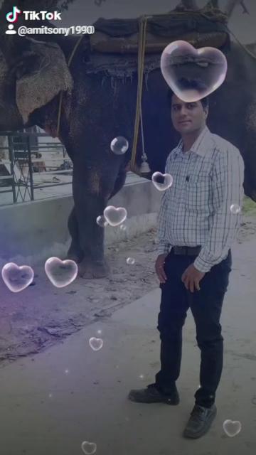 @Amit Sony