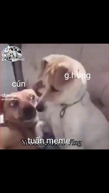 @Nguyễn Quốc Tuấn