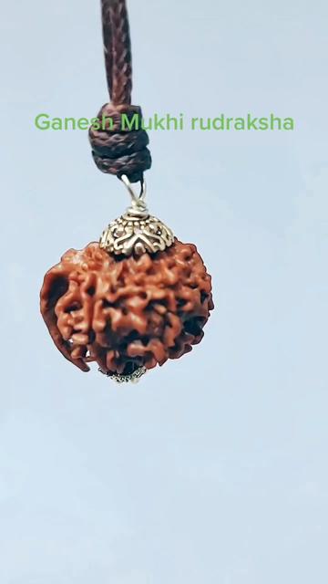 @nepal rudraksha