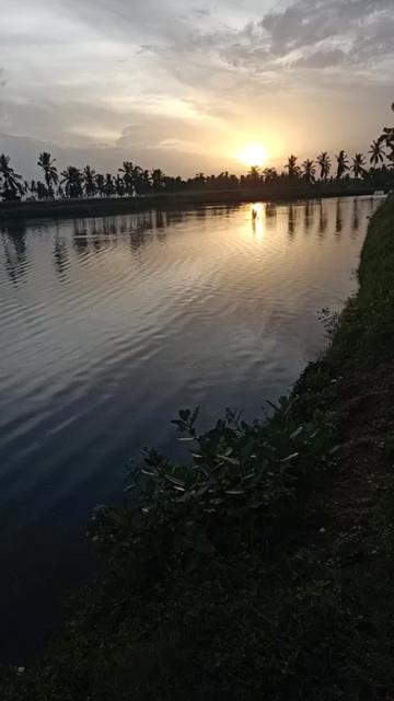 @power 🌟 pavan Kalya