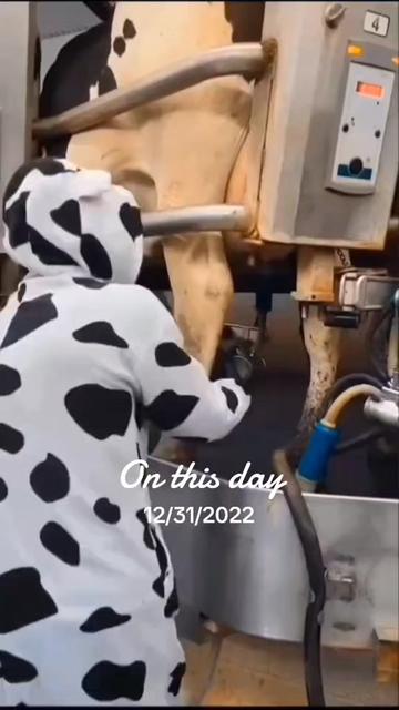 @Farmer Moo