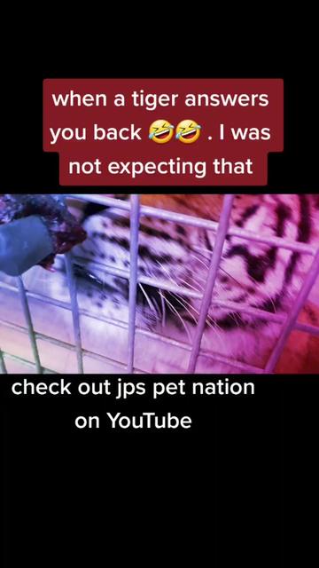 @Jp's Pet nation