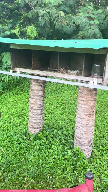 @kumuainafarms