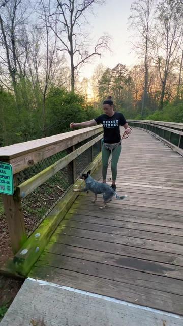 @thewoofpacknc