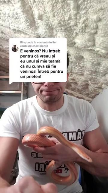 @Bogdan Hriscu