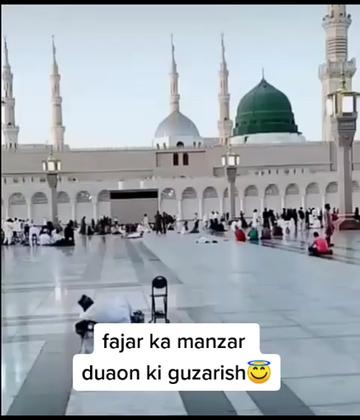 @taskisaifu