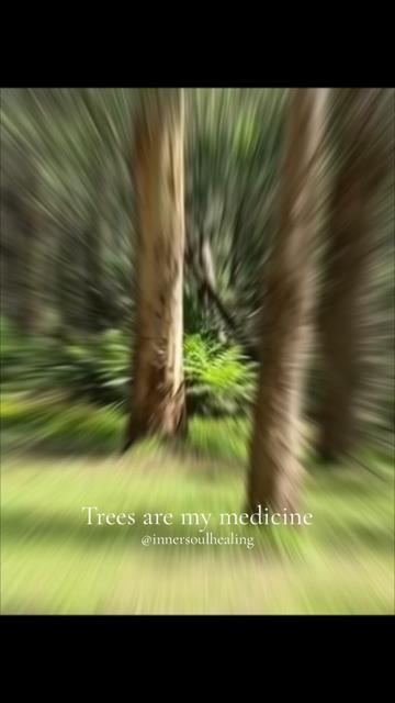 @InnerSoulHealing