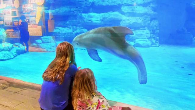 @dolphin_heart66