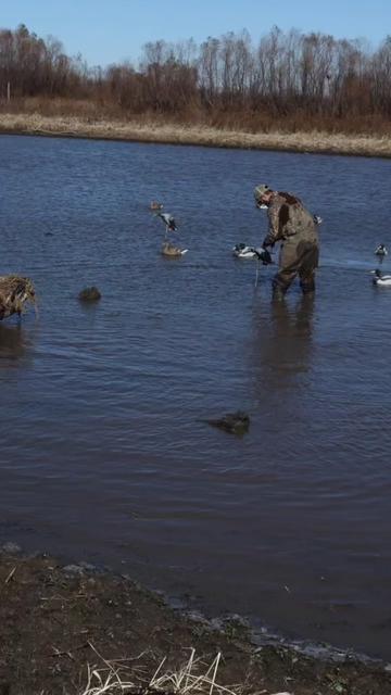 @Birdbath Waterfowl🦆