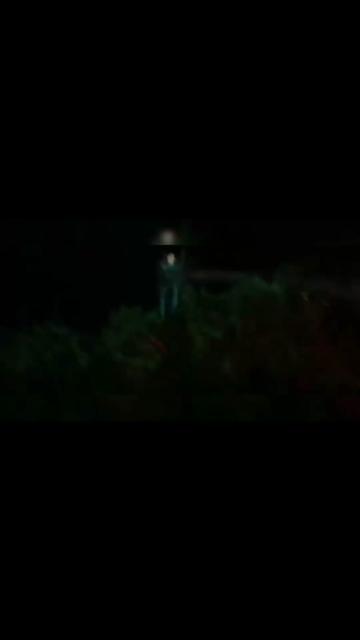 @cinéfilos