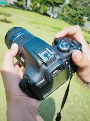 @彡