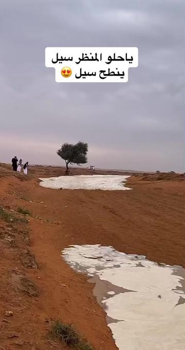 @المكشات