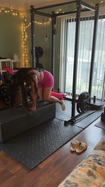 @jazelsjuicygym