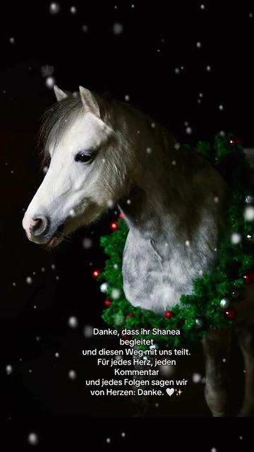 @Shanea & ihre Ponys ♥️🐴