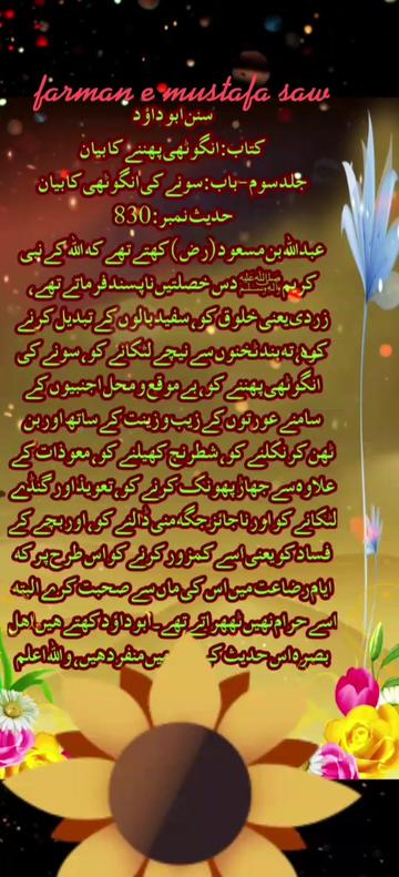 @Max Info