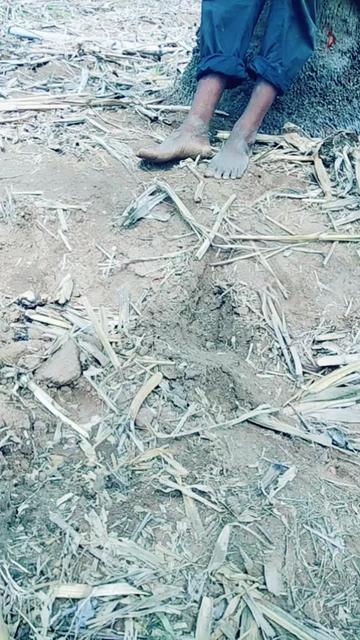 @ಅಭಿಲಾಷ್ ಸಿ ಅಜಯ್