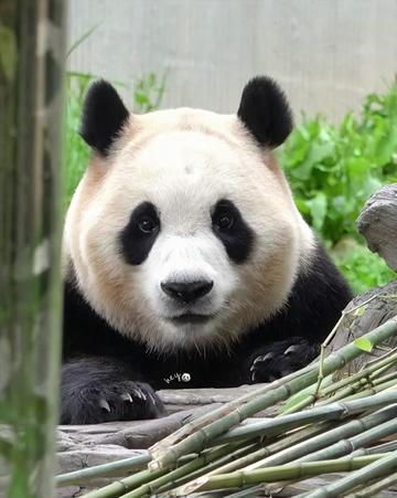 @ショウキンキ