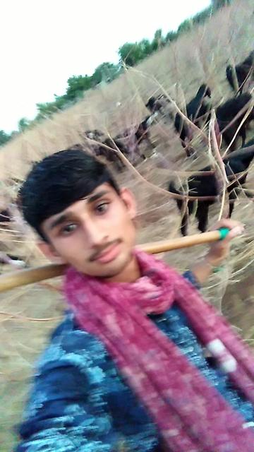@Rabari keshra