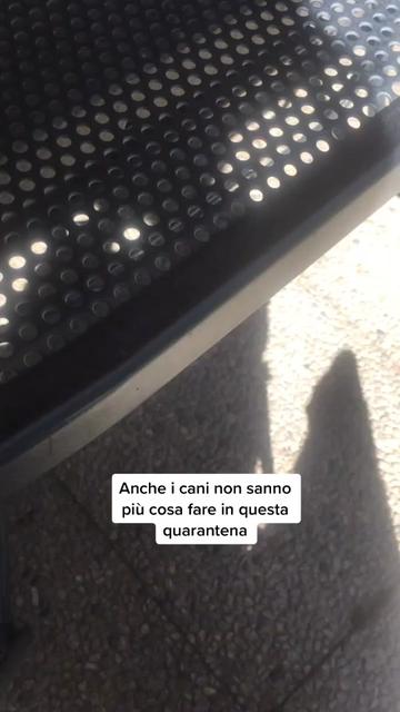 @Tatiana Tambuzzo