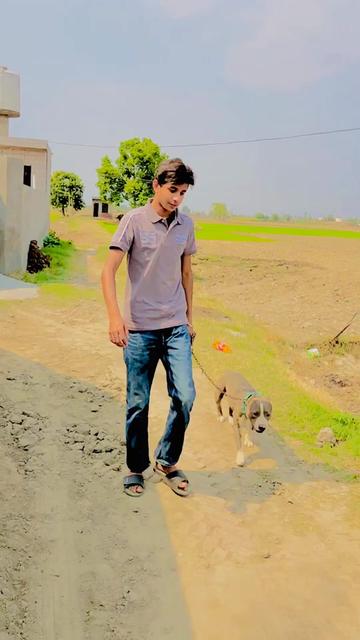 @noor chhina